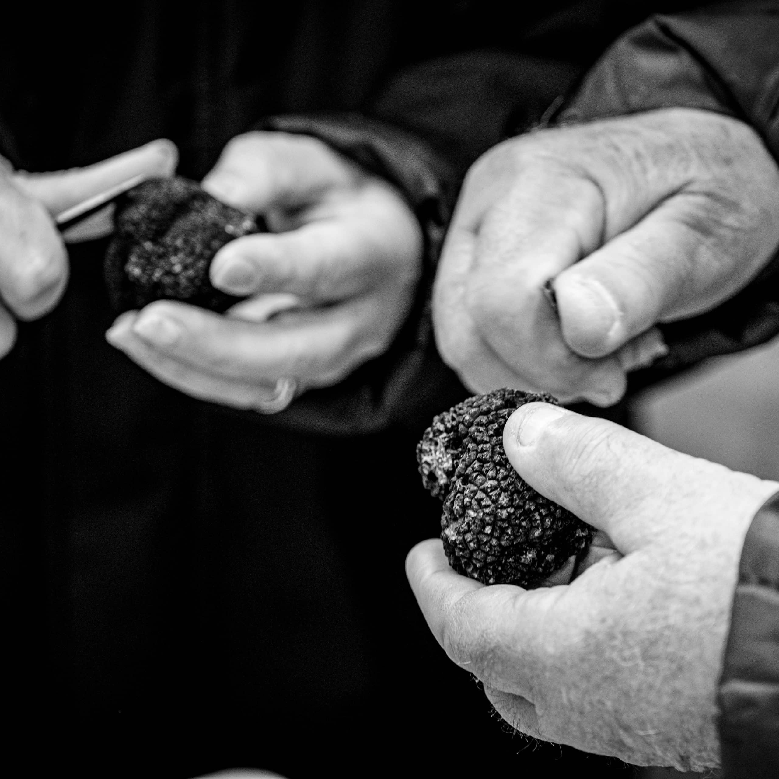 Marché de la Truffe à Sorges